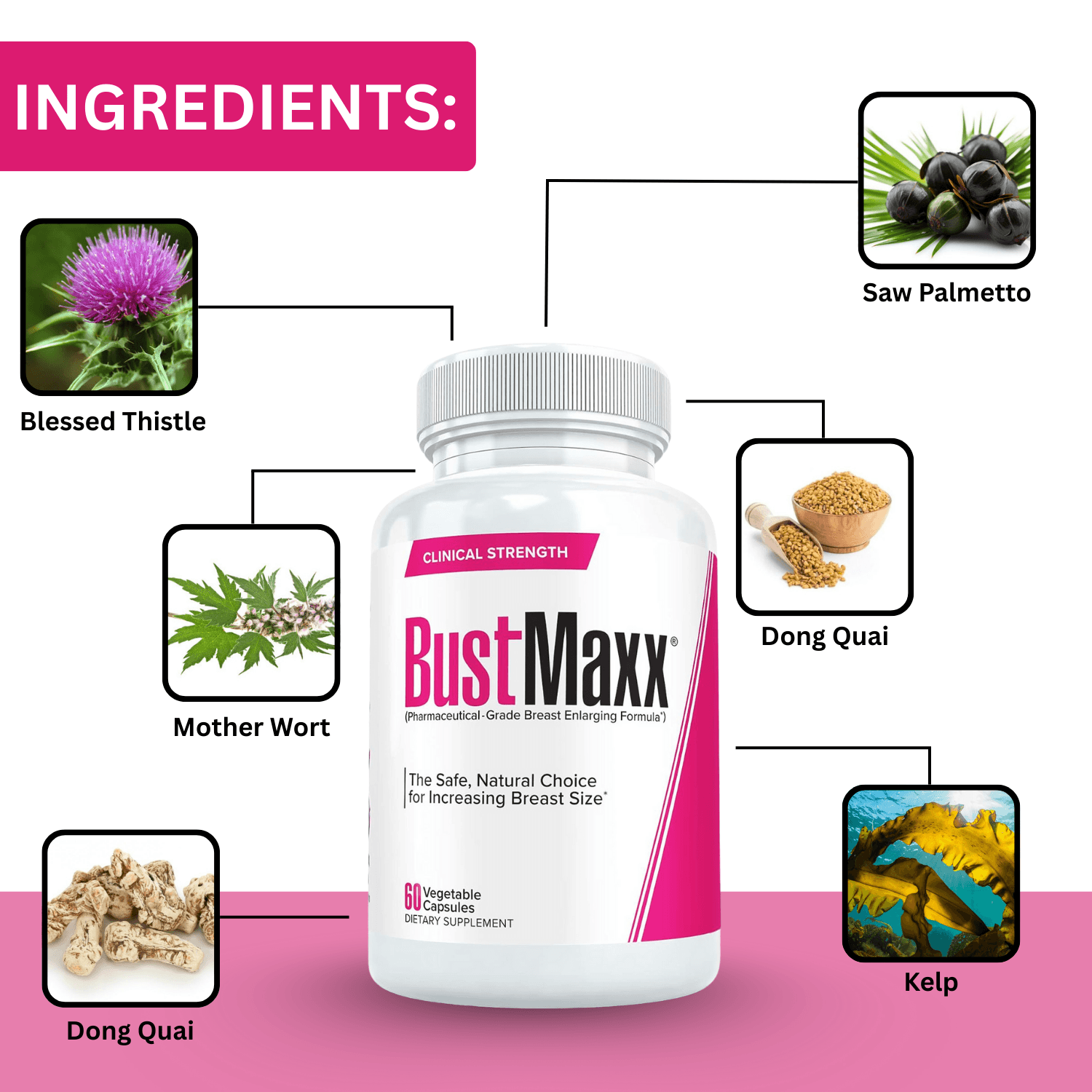 BustMaxx Breast Enhancement Capsules for Women - 60 Capsule – Gluta White Product